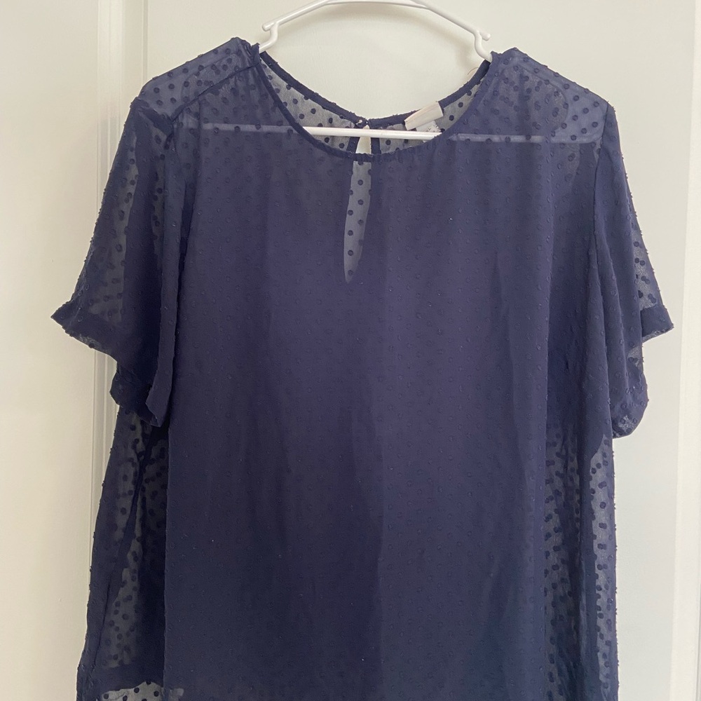 Elegant Navy Blue Sheer Women's Top